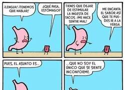 Enlace a Conversaciones en el sistema digestivo