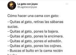 Enlace a Instrucciones paso a paso