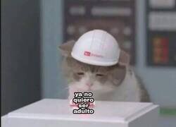 Enlace a Botón de reset