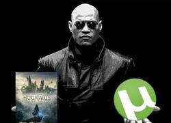 Enlace a Continúa la polémica