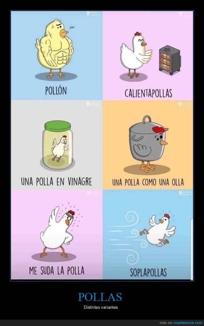 pollos,tipos