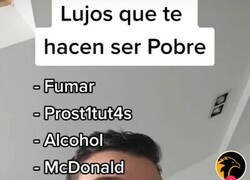 Enlace a Ya hasta pasear es un lujo...