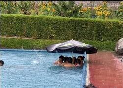 Enlace a Protegiéndose de la lluvia