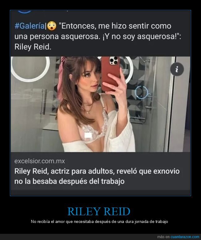 actriz,besar,novio,riley reid,trabajo