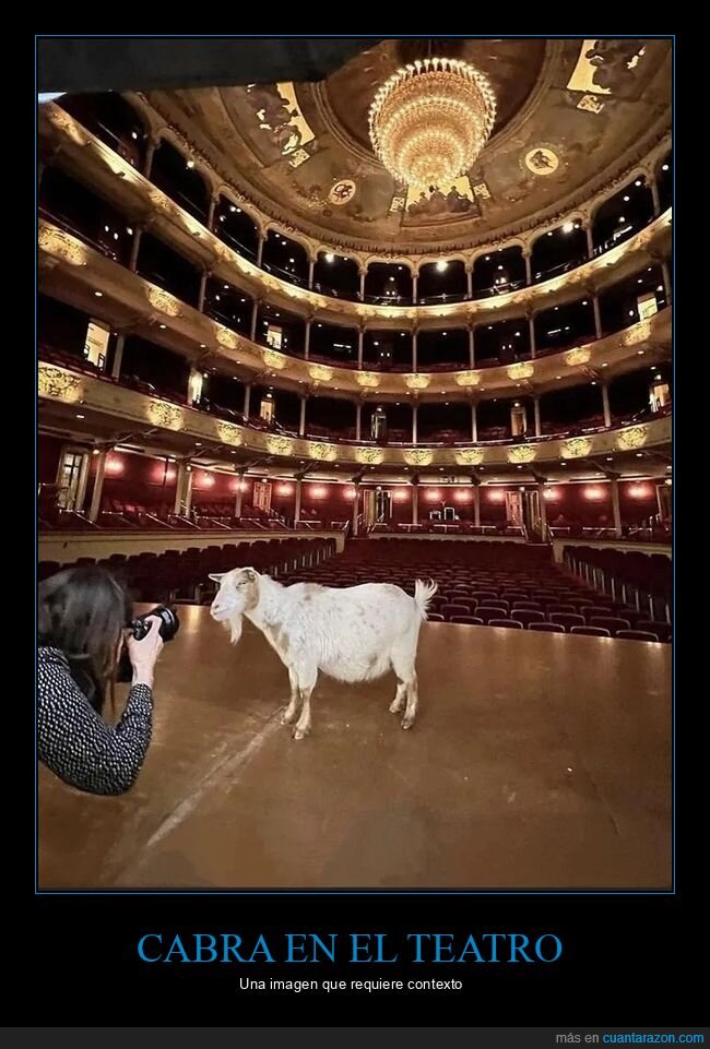 cabra,fotografiando,teatro,wtf