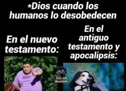 Enlace a Se fue ablandando con el tiempo