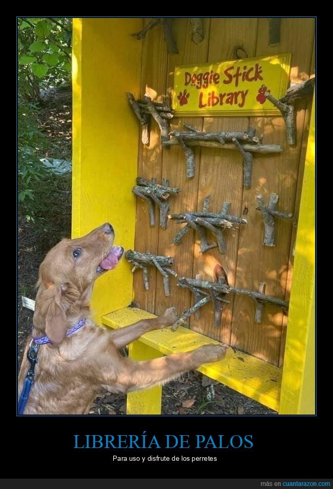 librería,perros,palos