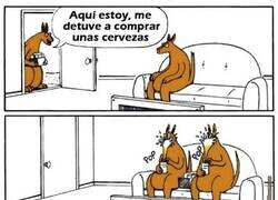 Enlace a Problemas de canguros