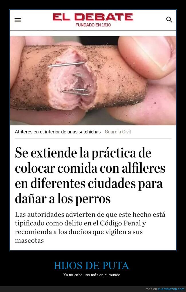 alfileres,perros,wtf