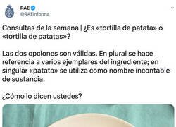 Enlace a Una nueva duda