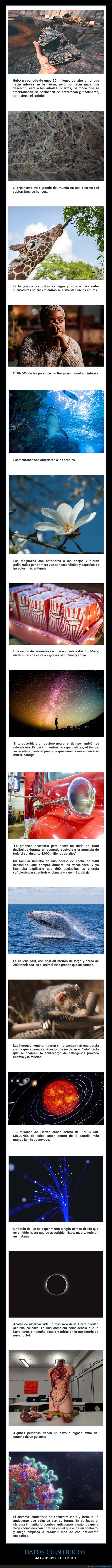 datos científicos,curiosidades