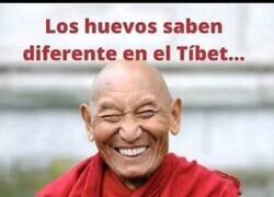 Enlace a Variedad de sabores