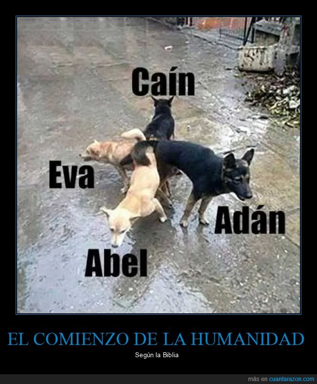 abel,adán,biblia,caín,eva,perros