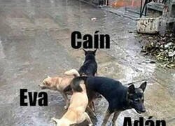 Enlace a No lo digo yo, lo dice la Biblia...