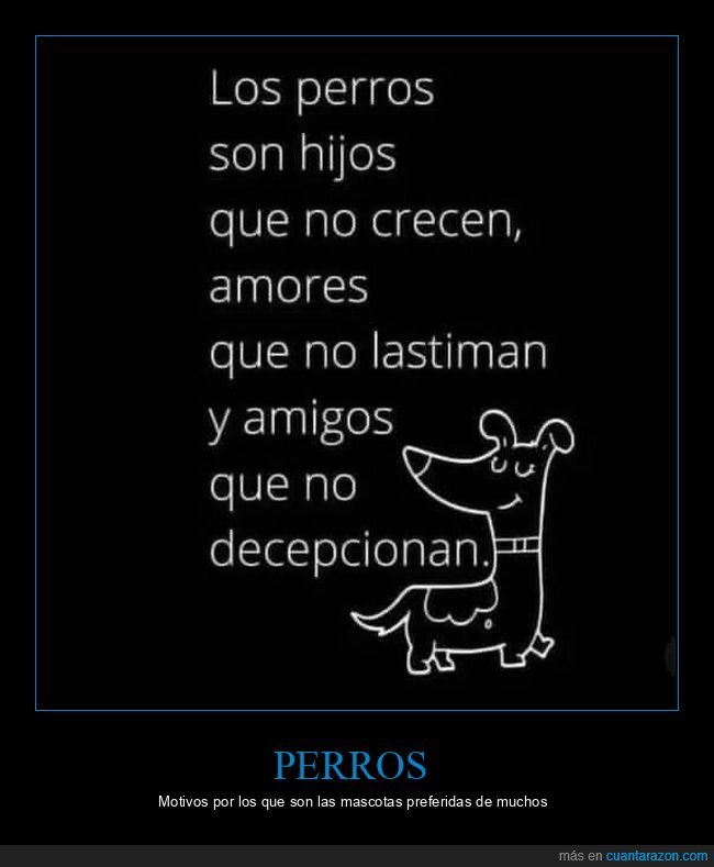 perros,hijos,amores,amigos