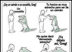 Enlace a ¿Caimán o cocodrilo?