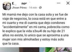 Enlace a Solo en casa