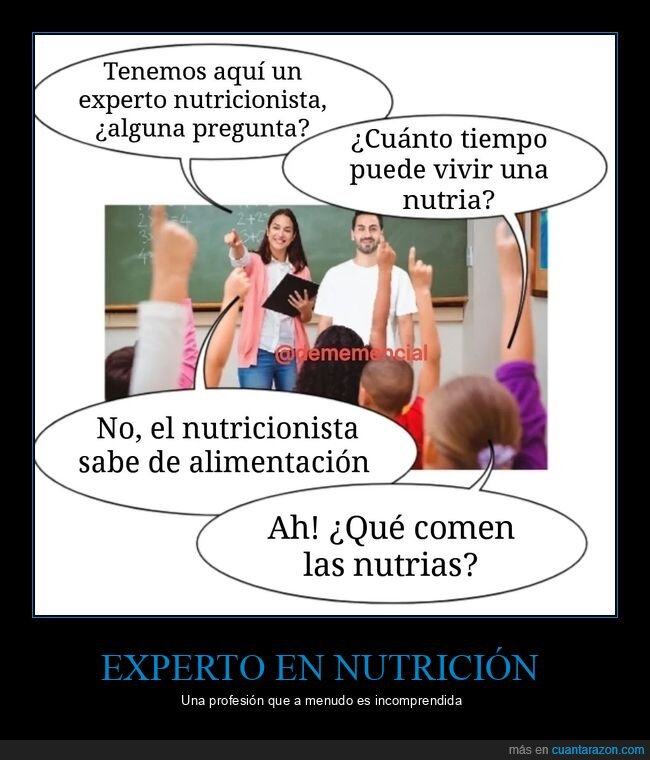 nutrición,nutricionista,nutrias