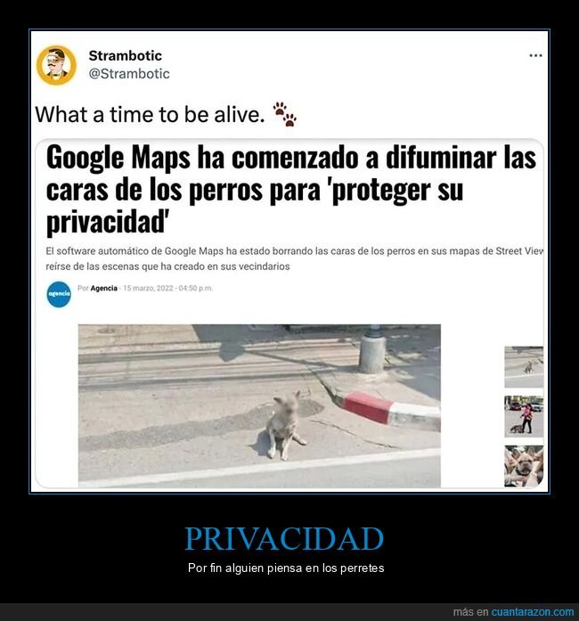 caras,difuminar,google maps,perros,privacidad