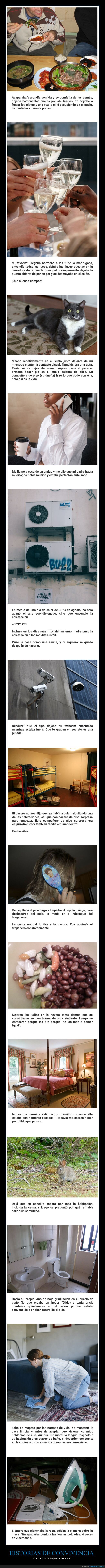 compañeros de piso,convivencia