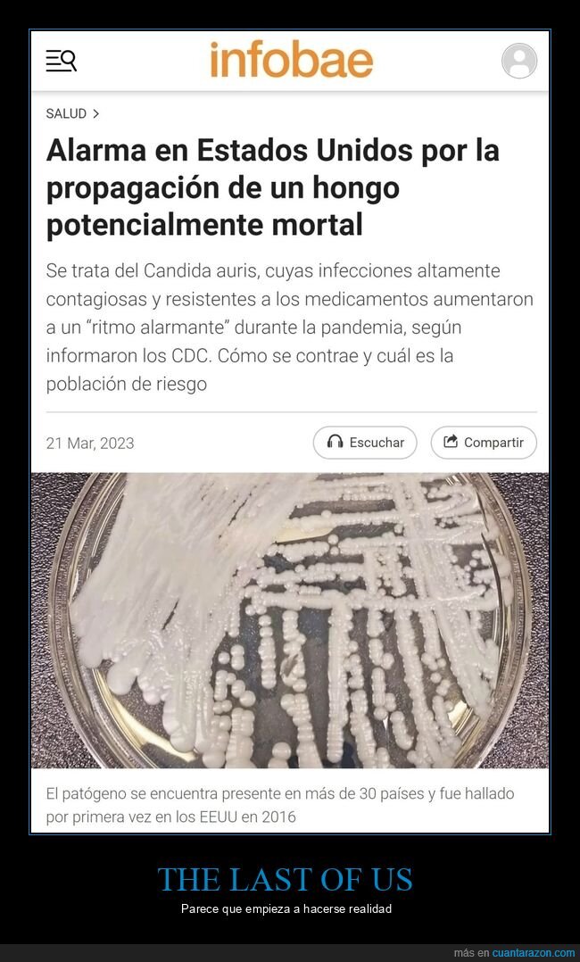 hongo,mortal,candida auris