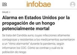 Enlace a Al menos no es el Cordyceps...