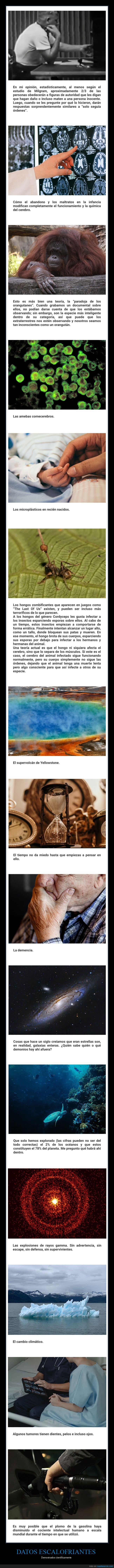 datos escalofriantes,demostrados científicamente