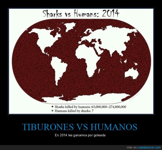 tiburones,humanos,matar