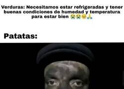 Enlace a Verduras VS Patatas