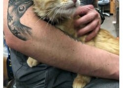 Enlace a Tatuajes que encajaron perfectamente en el lugar y el momento adecuados