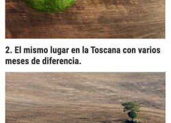 Enlace a Comparaciones que demuestran que todo es relativo