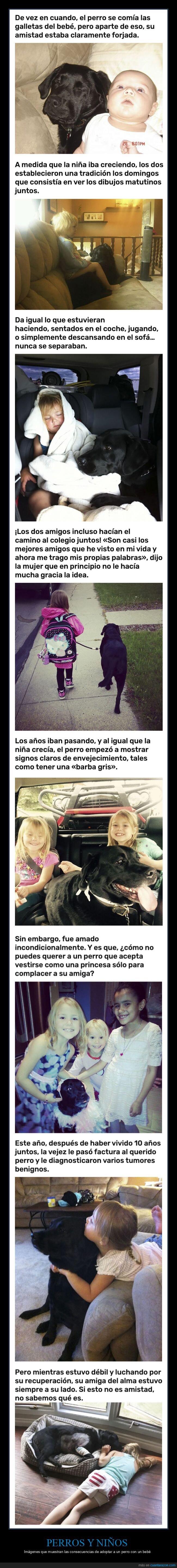 perro,niña,bebé