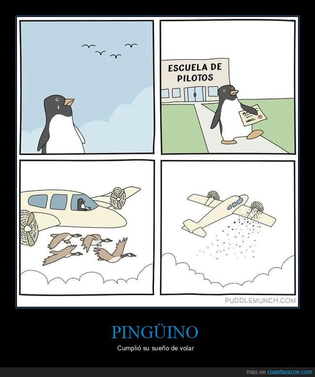 avión,pájaros,pingüino,volar