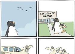 Enlace a Persiguiendo sus sueños