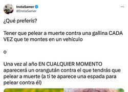 Enlace a Elecciones complejas que hay que meditar en profundidad