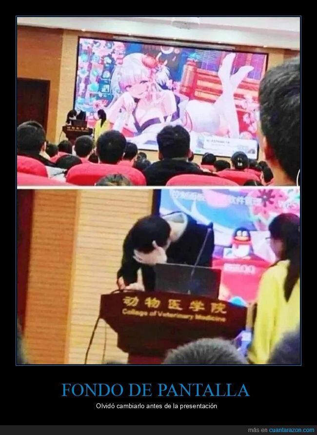 fondo de pantalla,otaku,presentación,vergüenza