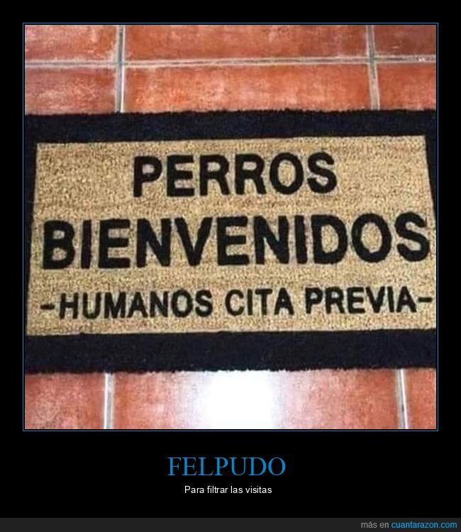 felpudo,perros,humanos