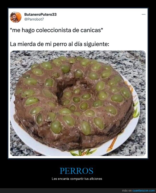 coleccionista,canicas,perro