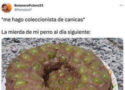 Enlace a A tu perro le gusta tu colección