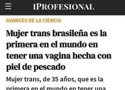 Enlace a ¿La primera?