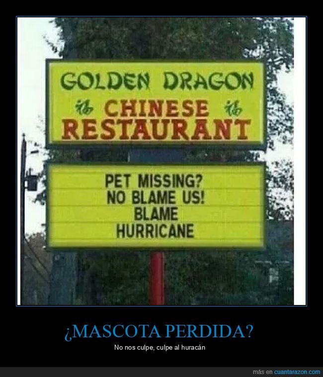 chinos,culpar,huracán,mascota,perdida,restaurante