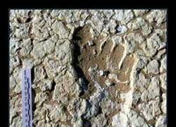 Enlace a Huella milenaria