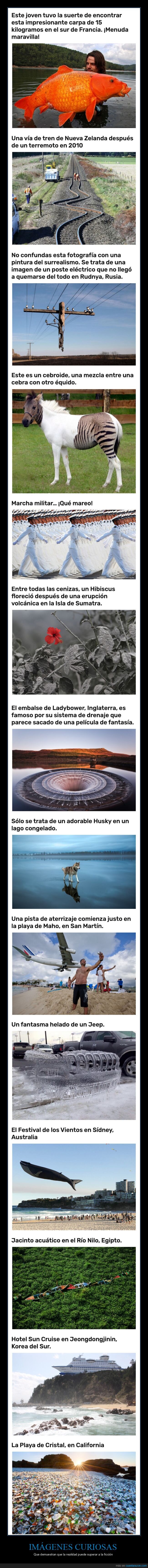 realidad,ficción,wtf