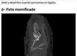 Enlace a Objetos encontrados en Egipto que han puesto en duda la historia que conocemos