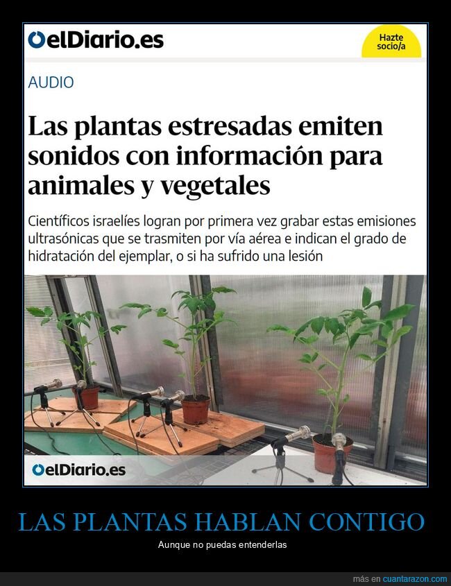 plantas,sonidos,información
