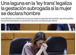 Enlace a Laguna legal