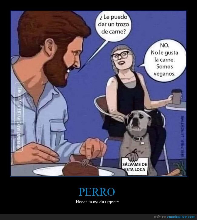 perro,carne,veganos