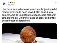 Enlace a Albóndiga prehistórica