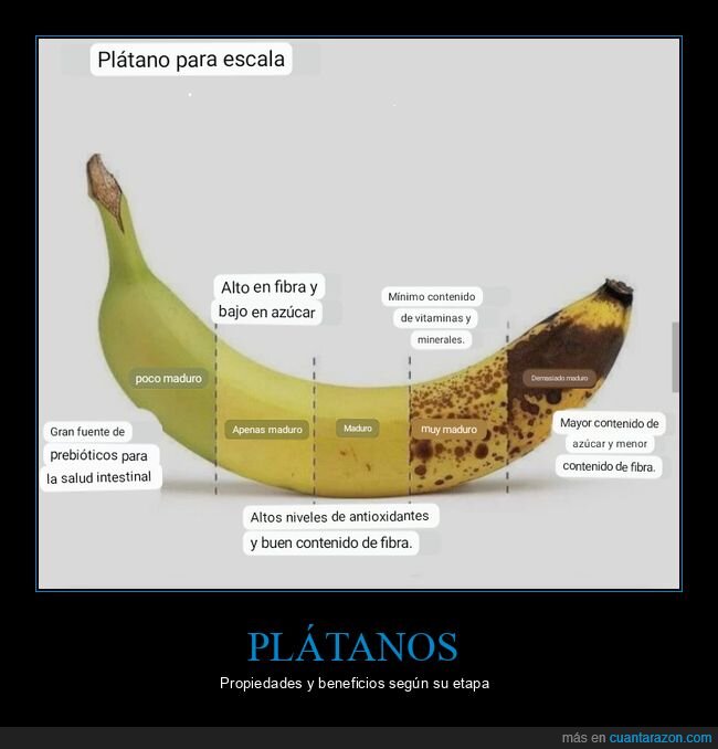 plátano,propiedades,beneficios,etapas,curiosidades