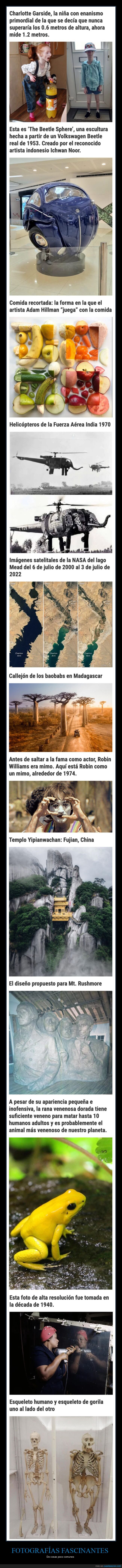 fotografías fascinantes,cosas poco comunes,curiosidades